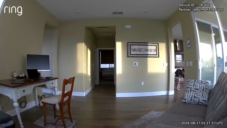 A person crouching near a doorway while picking up dog hair.