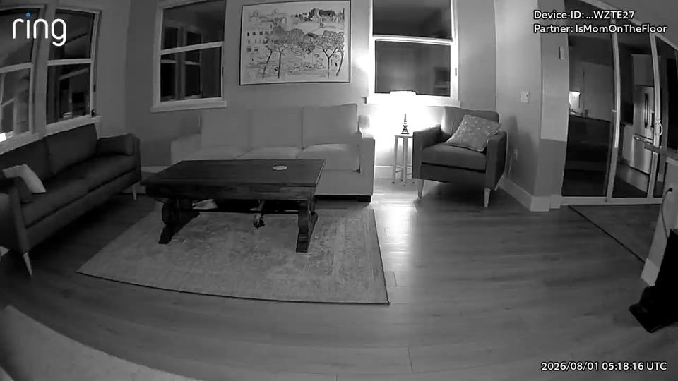A living room at night in black-and-white infrared: sofas, a coffee table on a rug, and a dark shape — the dog — lying under the coffee table.