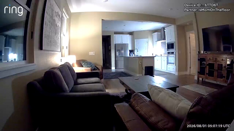 A living room in the evening with a lamp on: two sofas with pillows, a coffee table, and the kitchen beyond. No one is in the room.