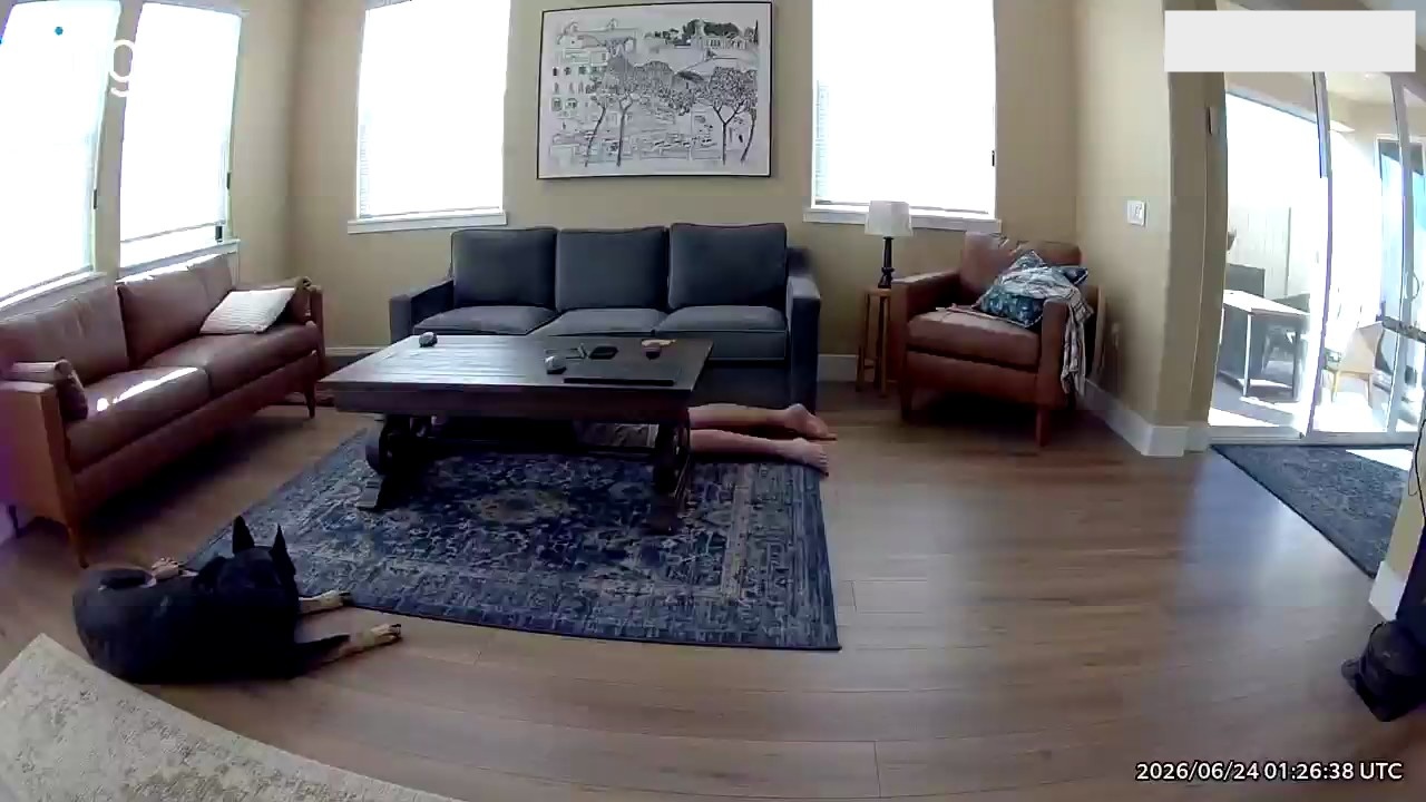 A Ring camera frame from testing: someone on the floor, only their legs visible past the coffee table, with the dog nearby