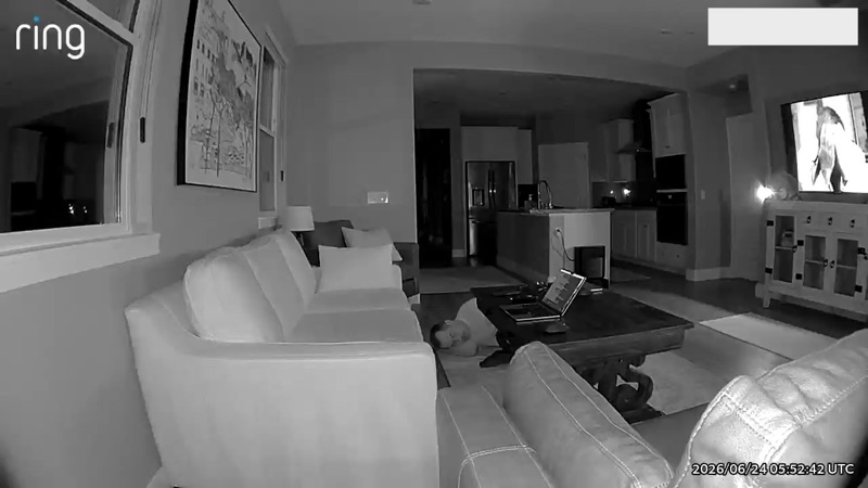 Early test: lying beside the coffee table at night (infrared)
