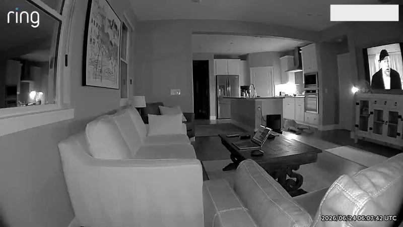 Early test: lying near the kitchen at night (infrared), far from the camera